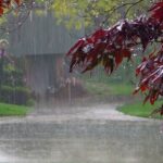 طقس اليوم: أمطار غزيرة مع تساقط البرد