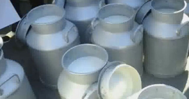 نقابة الفلاحين : قرار إيقاف انتاج الحليب عقوبة