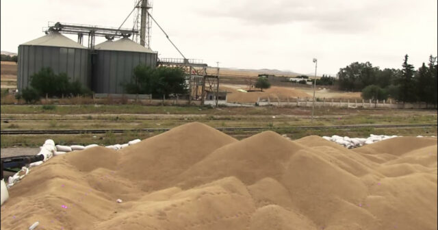 عبد المجيد الزار : كميات الحبوب المتلفة جراء الامطار مجهولة