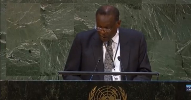 ممثل افريقيا بالأمم المتحدة: الباجي قائد السبسي أحد عظماء القارة
