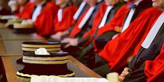 رئيس المحكمة الابتدائية بالكاف: القضاء شهد انتفاضة داخلية لتطهير نفسه