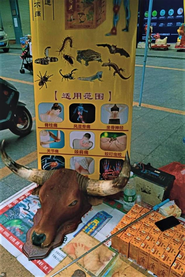 صحيفة بريطانية: إعادة فتح أسواق بيع لحوم الخفافيش والقطط والكلاب بالصين