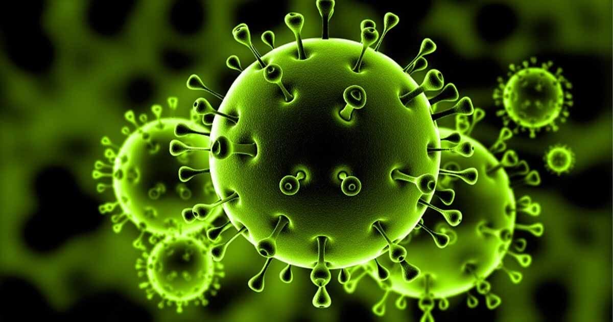 الصحة العالمية: فيروس كورونا حيواني الأصل ولا دليل على تصنيعه في مخبر