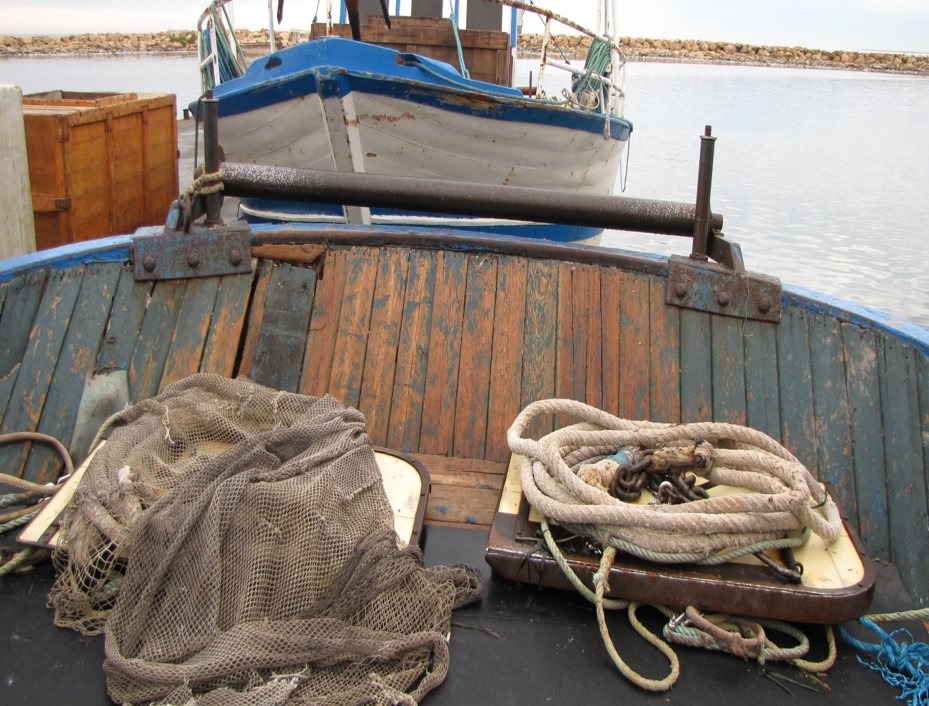 وزارة الفلاحة: إجراءات قانونية ضدّ كلّ من يعتدي على أعوان الصيد البحري