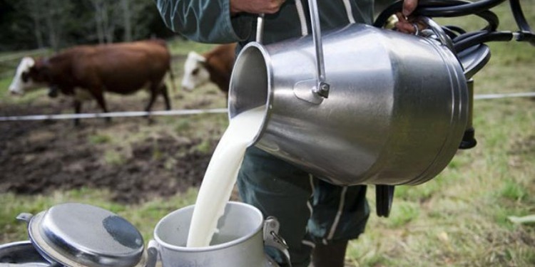 غُرفة مُصنّعي الحليب تُلوّح بإيقاف نشاط منظومة الإنتاج
