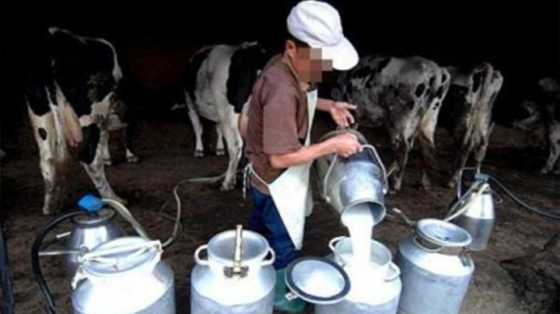 الترفيع في سعر بيع لتر الحليب نصف الدسم عند الاستهلاك