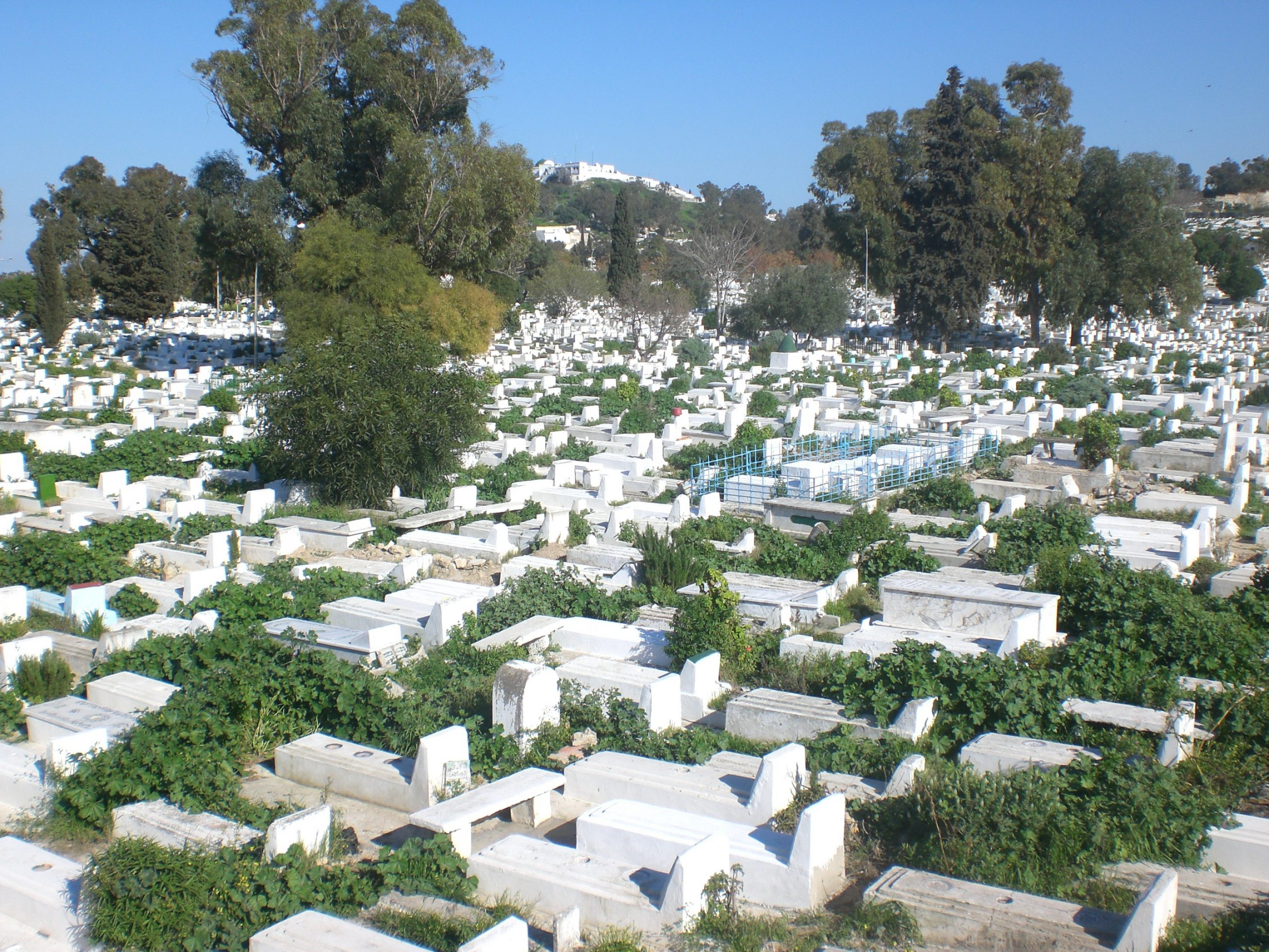 مديرة بوزارة التجهيز: دراسة بـ100 مليون دينار لـ90 مقبرة بتونس الكبرى