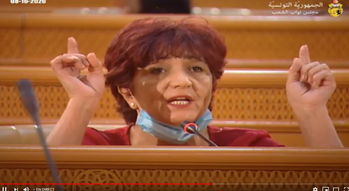 سامية عبو: أنصح البرلمان بمنح تفويض لرئيس الحكومة