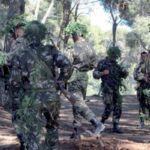 الجزائر: استشهاد عسكريين والقضاء على 4 إرهابيين