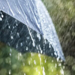 طقس اليوم: أمطار متفرقة ودرجات الحرارة في انخفاض