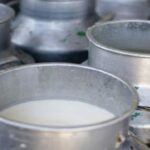 اتحاد الفلاحين يُطالب بتفعيل الزيادة في سعر الحليب