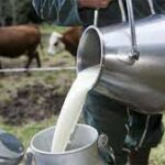 من المستفيد من إسقاط المنظومات الإنتاجية الغذائية؟: تجميع الحليب نموذجا