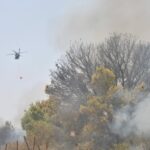 وزارة الدفاع: تنفيذ 255 طلعة جوية لإخماد حرائق الغابات