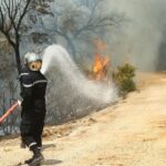 وزارة الداخلية: إطفاء 65 حريقا يوم أمس