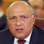 وزير خارجية مصر: لا بدّ من دعم القيادة التونسية لتعبر بالبلاد إلى برّ الأمان