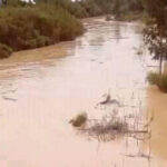 أمطار غزيرة مُتوقعة: وزارة الفلاحة تُحذّر الفلاحين والبحارة