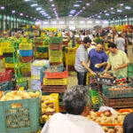 232 % نسبة ارتفاع أسعار بعض الخضروات في سوق الجملة بتونس