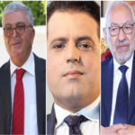 نائبة عن التيار: إحالة الغنوشي والشاهد والقروي والرياحي والزبيدي على أنظار الدائرة الجناحية بمحكمة تونس