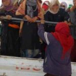 اتحاد الفلاحين: إصابة 20 عاملة في اصطدام شاحنتين تعكس تراخي السلط في معالجة ملف النقل الفلاحي