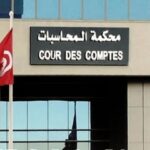 محكمة تونس: خطايا لنبيل القروي وسعيد العايدي والصافي سعيد  وعدم سماع الدعوى في حق الفخفاخ والهمامي والمرايحي