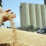"رويترز": تونس ستشتري أكثر من مليون طن من الحبوب قبل نهاية 2022
