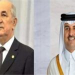 ستليها قمة مع تبون بالجزائر: أمير قطر في ضيافة السيسي بعد 4 سنوات من قطع العلاقات