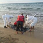 الحماية المدنية: غرق 38 مصطافا بالشواطئ منذ انطلاق الصيف