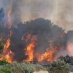 لجنة مجابهة الكوارث بجندوبة: الوضع خطير واغلب الحرائق مفتعلة