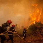 معتمد الهوارية : حريق" غابة زاوية المقايز" أتى على حوالى 100 هكتار من النسيج الغابي