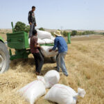 حذّر منها البنك الدولي: تونس تعيش أزمة أسمدة تُهدد أمنها الغذائي