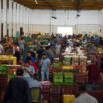 وزارة التجارة تُسعّر البطاطا والبصل وتلوّح بتعميم الاجراء