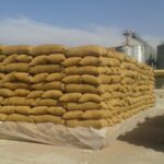 “رويترز”: تونس تطرح مناقصة دولية لشراء 100 ألف طن من القمح اللين و75 الف طن من الشعير