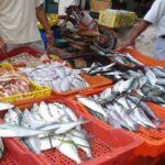 تحديد هامش ربح أقصى لتوزيع منتجات الصيد البحري بالتفصيل