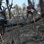 الحماية المدنية: تقدم كبير في السيطرة على حريق جبل ملولة رغم صعوبة التضاريس
