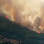 الحماية المدنية: اندلاع 3 حرائق بغابات جندوبة والجيش يتدخّل للمشاركة في الإطفاء