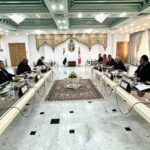 لجنة التشاور السياسي التونسية المصرية